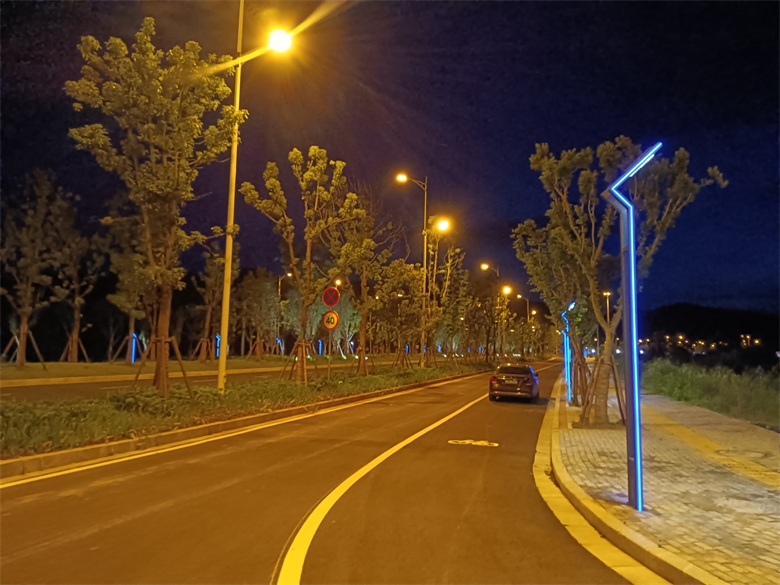 景觀(guān)燈、路燈助力龍南市龍南大道提升改造工程建設(shè)